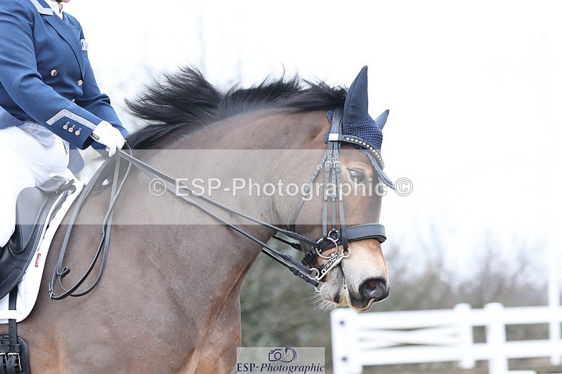 250216-133253-05958 - 253-Alison.Crimp-Crwys.Beau