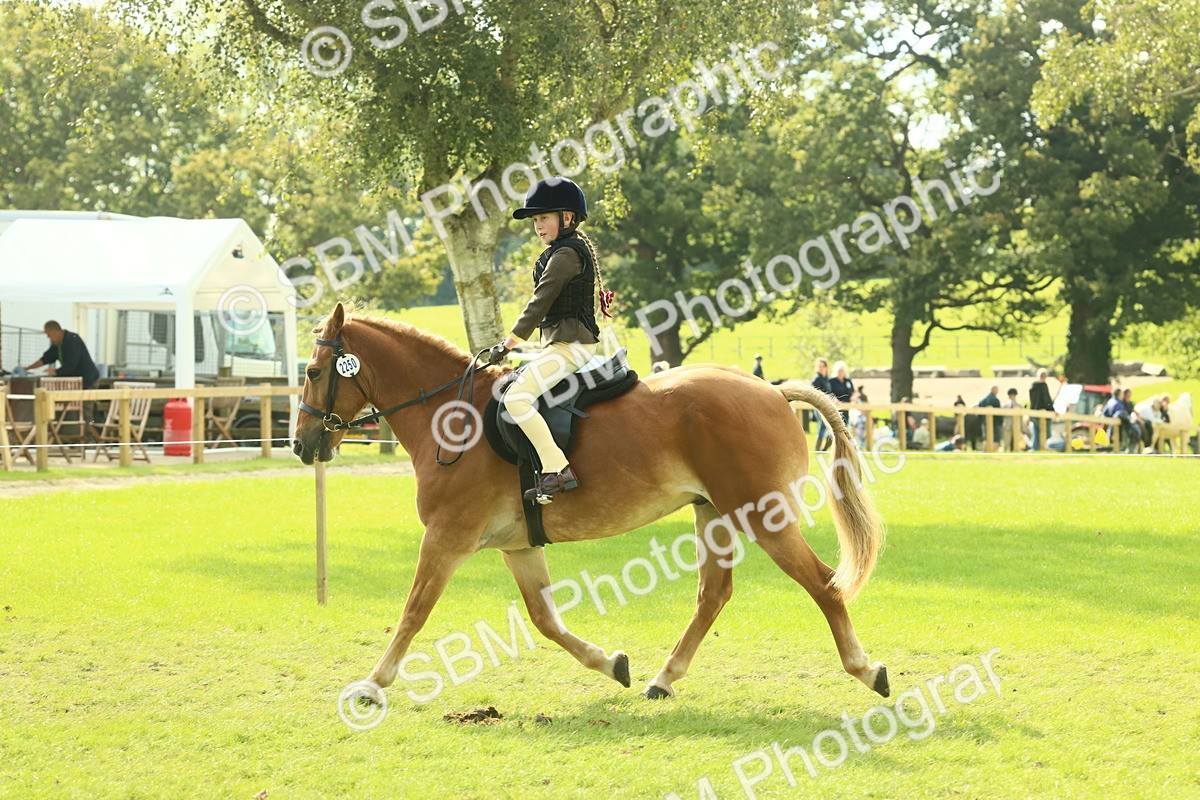 SBM_62503 - S62 - Foreign Breeds Ridden