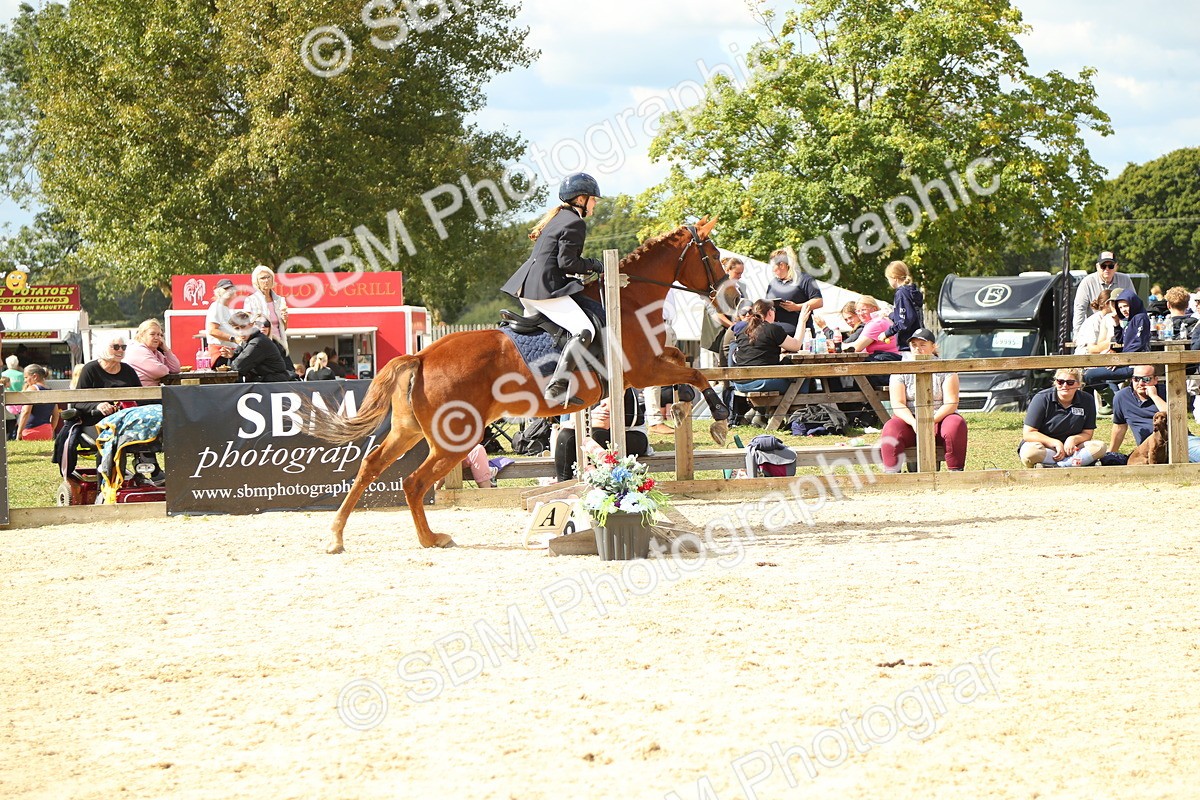 SBM_41397_J6 - Junior Pony 55cm Championship - Joanne