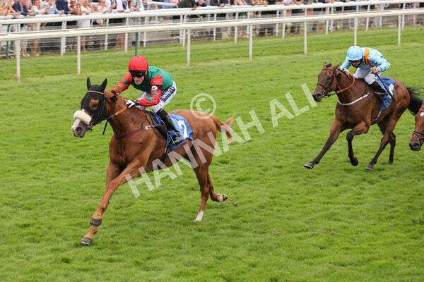 yr24072021r7-48 - Race 7 5.35pm The Sporting Life Fast Results Stakes