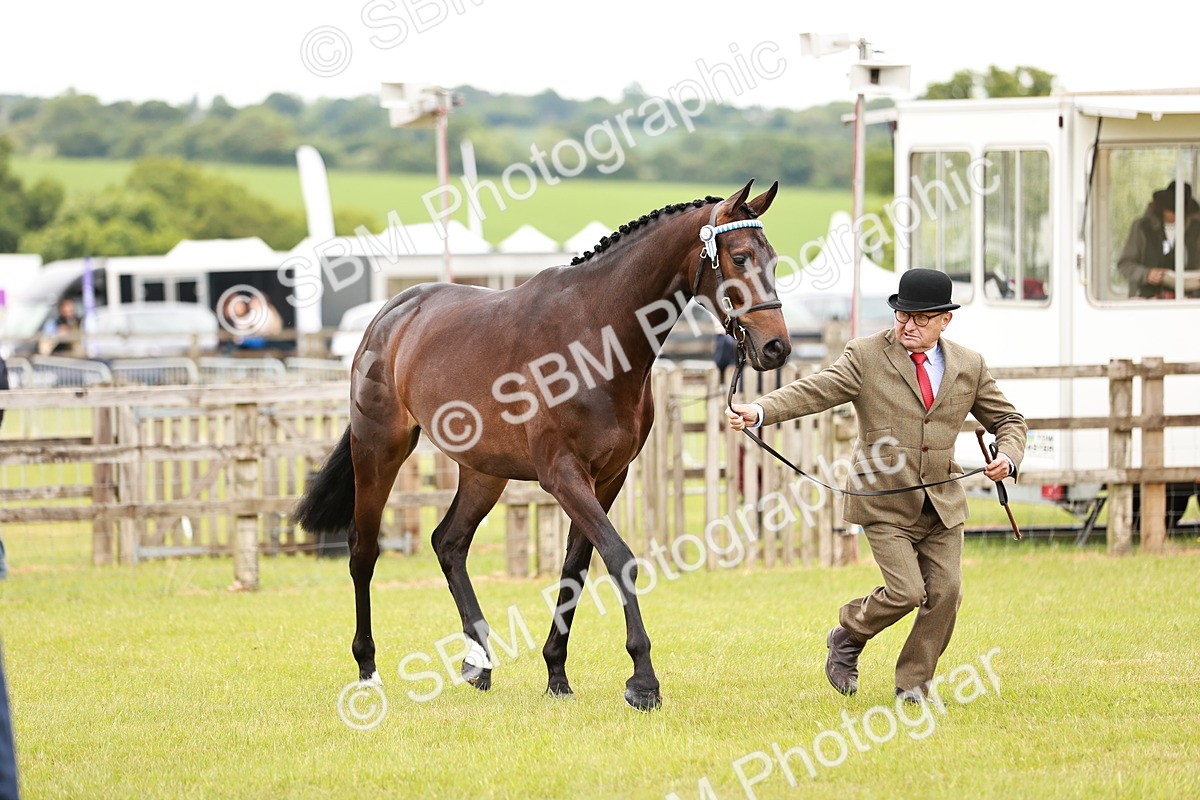 SBM_04761 - Class 35-38 Riding Horse Breeding