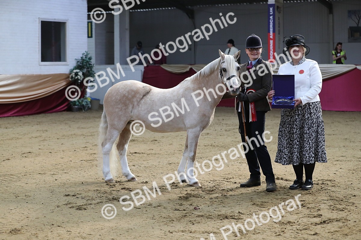 SBM_00347 - Class 1a - Area IH Diamond