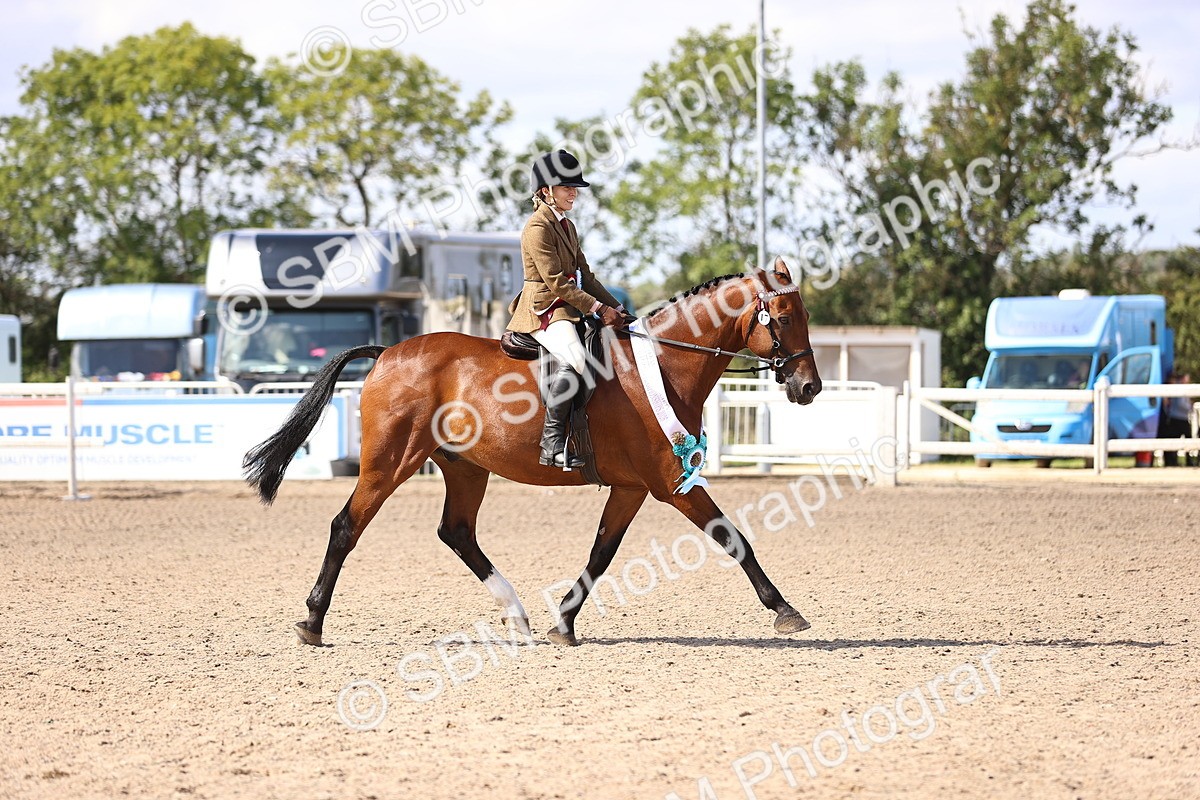 SBM_12996 - Class 410 - Grassroots Ridden - Horse