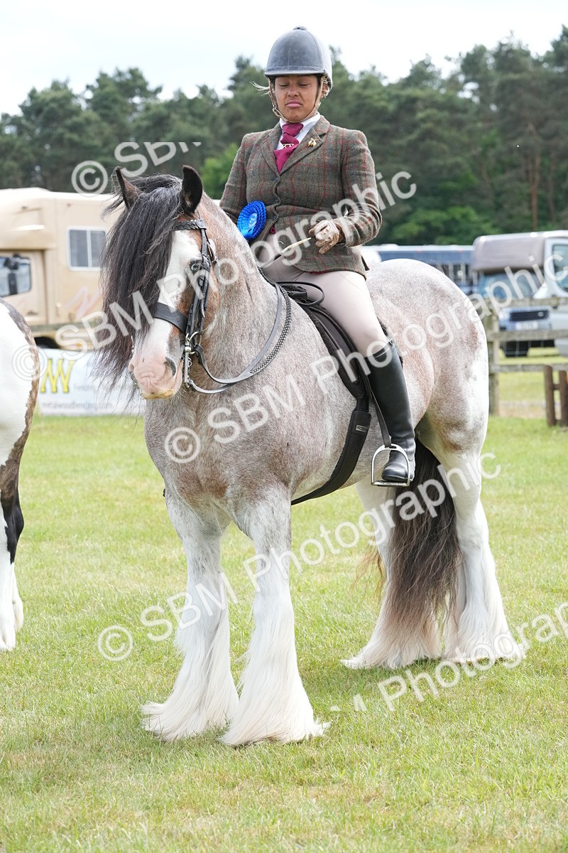 SBM_17324 - Class 107-108 - LIHS BSPS Performance Coloured Horse Pony