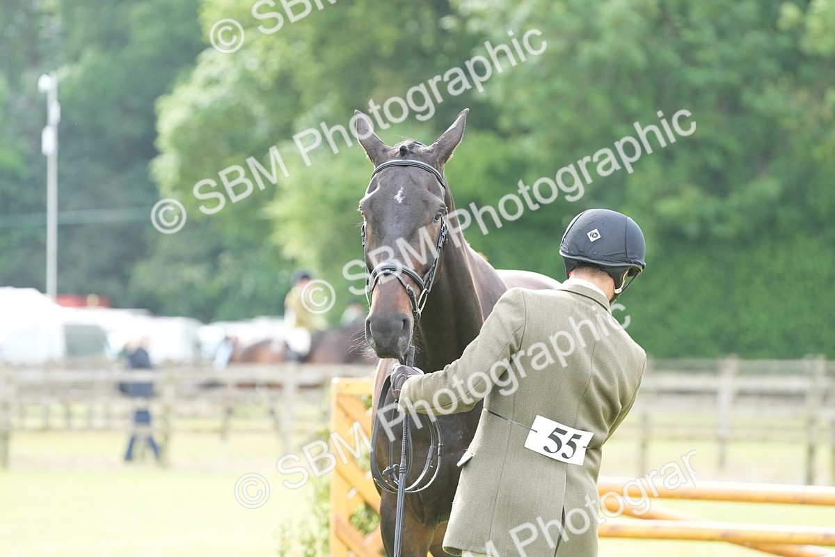 SBM_12750 - Class 97-98 - LIHS BSHA Rising Star Working Show Horse Hunter