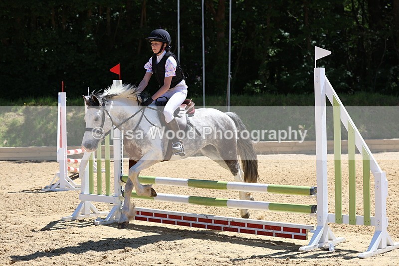 3E7A2415 - Class 4/5: 60cm Open Teams and Individuals