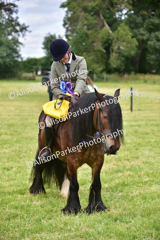 20260614-4232 - Class 17 - Best Mane and Tail