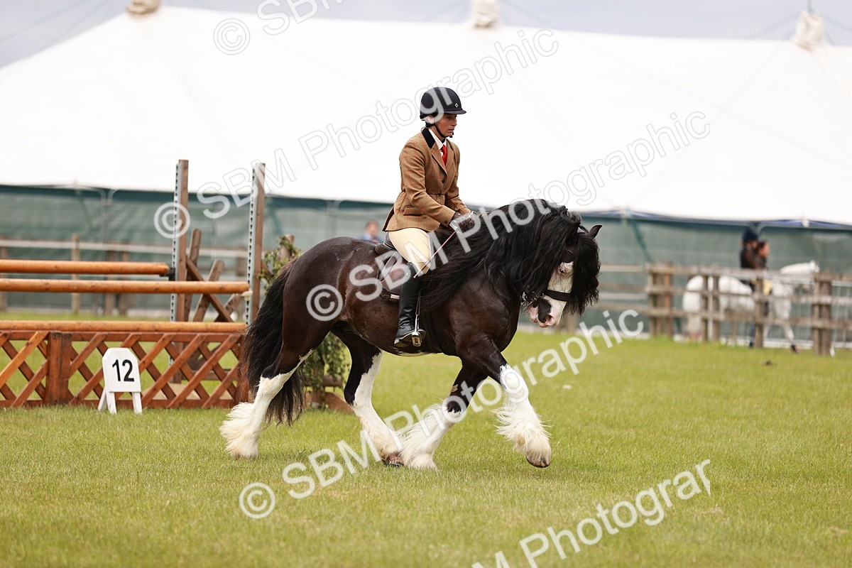 SBM_06188 - Class 39-41 TGCA In Hand and Ridden