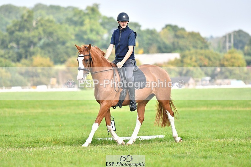 230817-093616-02608 - Abbie's 1st Group - Dressage