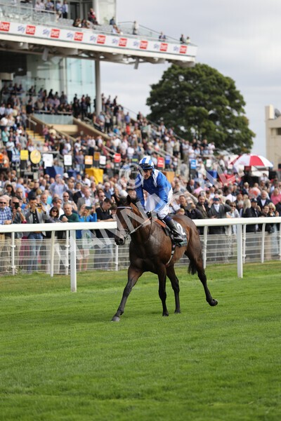 yr17082022r4-101 - Race 4 3.35pm Juddmonte International Stakes (British Champions Series Race)