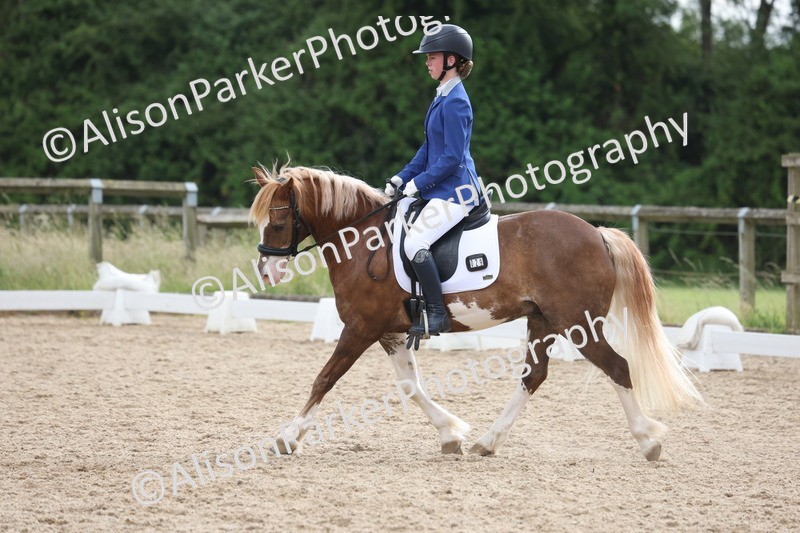 20250614-1501 - Class 7 - Elementary 2