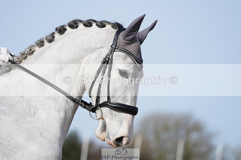 260214-125804-04114 - 117-Katharine.Lewis