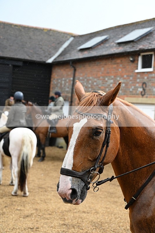 WJ7_6952 - Berks & Bucks at Blandy’s Farm 31-08-25