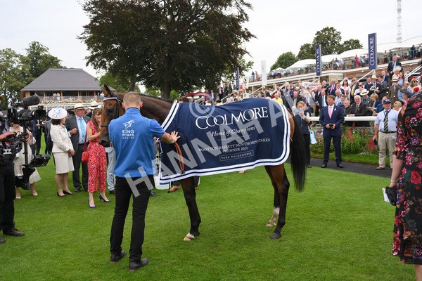 yr20082021r4-135 - Race 4 3.35pm Coolmore Wootton Bassett Nunthorpe Stakes (British Champions Series Race)