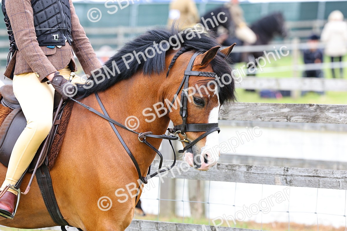 SBM_08434 - Class 42-43 - LIHS BSPS Heritage Working Sports Pony