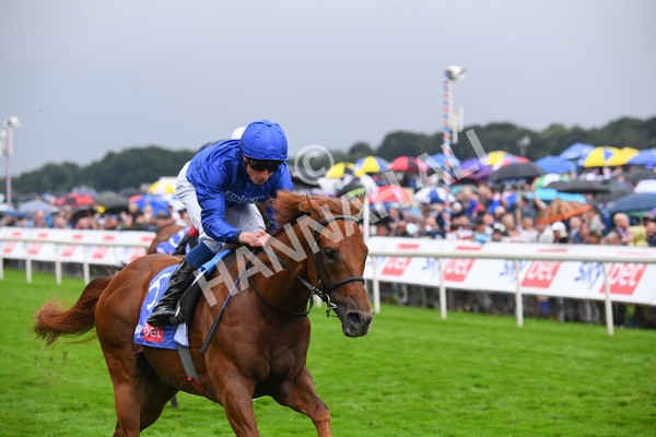 yr21082021r3-16 - Race 3 3.00pm Sky Bet City of York Stakes