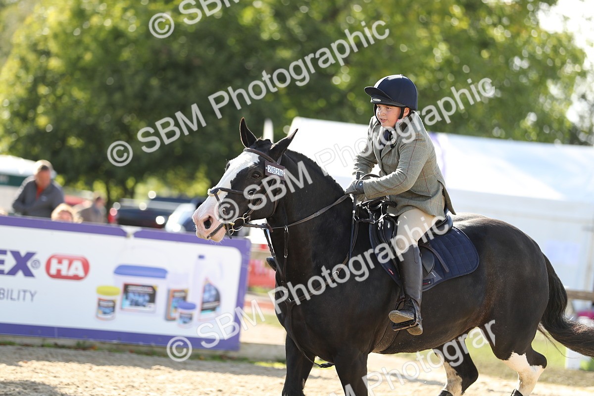 SBM_49575 - J22 - Junior Horse 65cm Championship