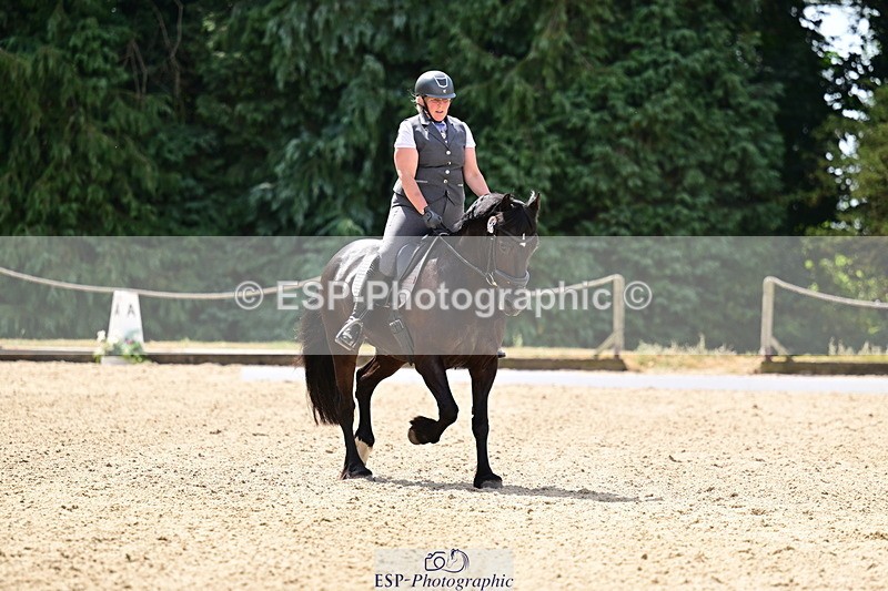 260802A-115606-06020 - Novice Silver break- end