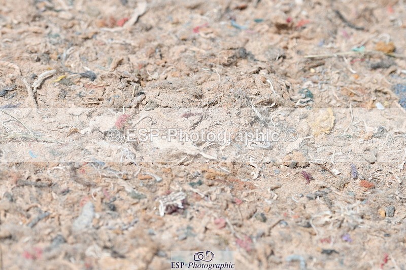 230520A-132711-01339 - Cls 6 Novice 30