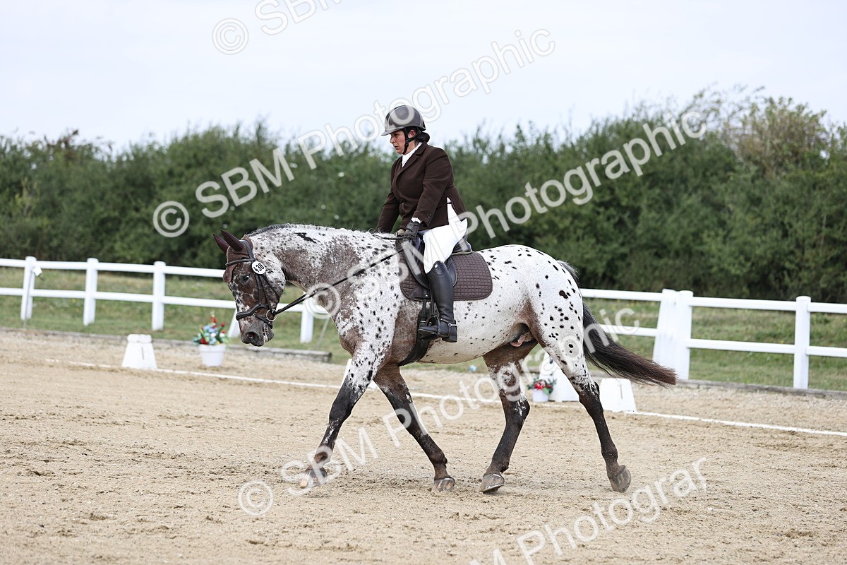 SBM_016857 - Class 14 Novice 23 - 11.53-12.56