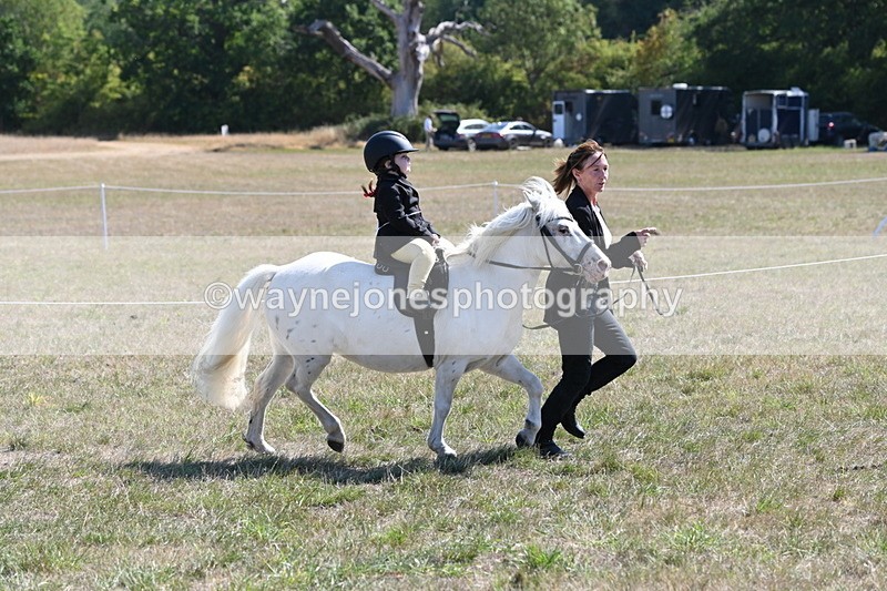 WJ6_7850 - Class 36 Lead Rein
