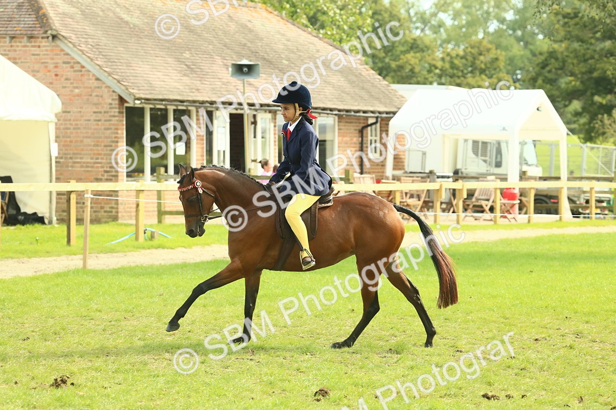 SBM_68097 - S57 - Part Bred Pony Ridden