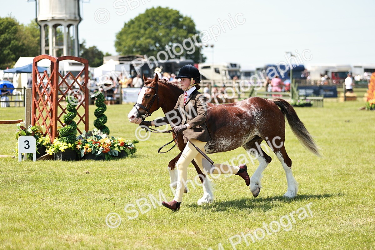 SBM_15565 - Class 108-109 - BSPS LIHS Open Gradle & Nursery Stakes