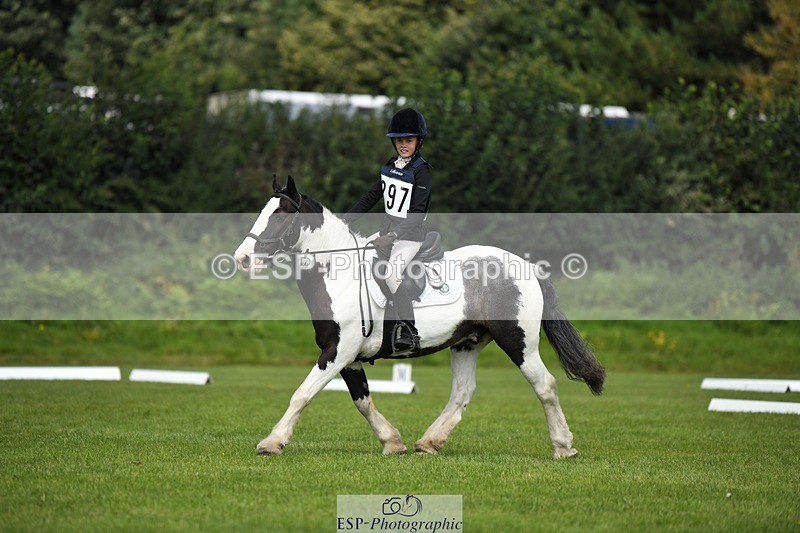 230826-112938-15883 - Sections C & D 10 to End