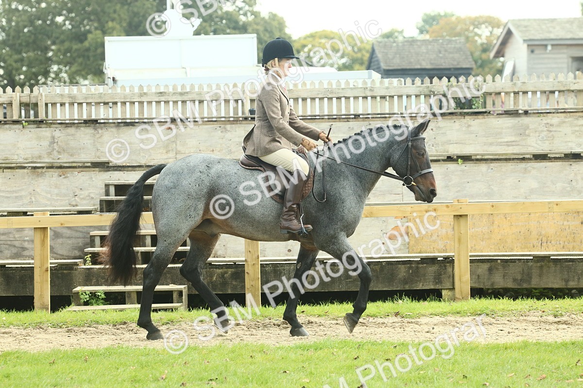 SBM_62580 - S63 - Other Coloured Horse Ridden