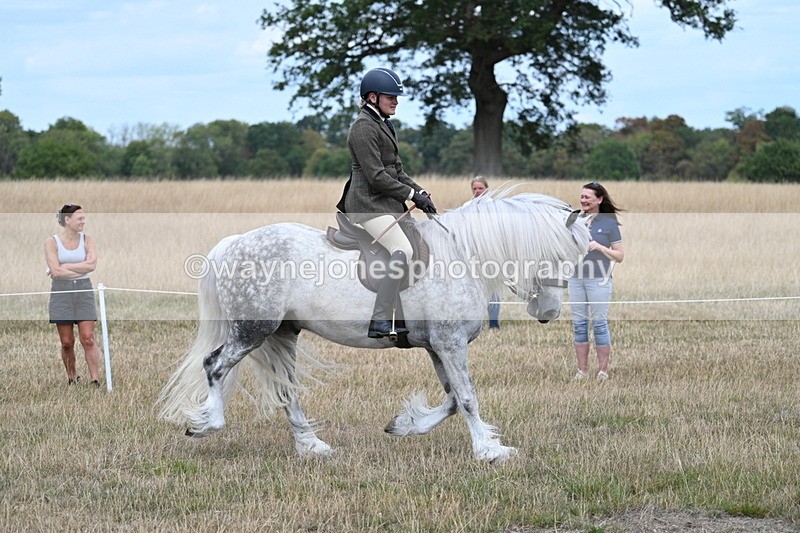 WJ7_4763 - Class 12 Ridden Cob