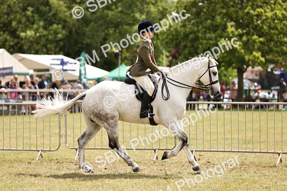 SBM_14804 - Class 88-89 - LIHS BSHA Rising Star of Ridden Hunter Type