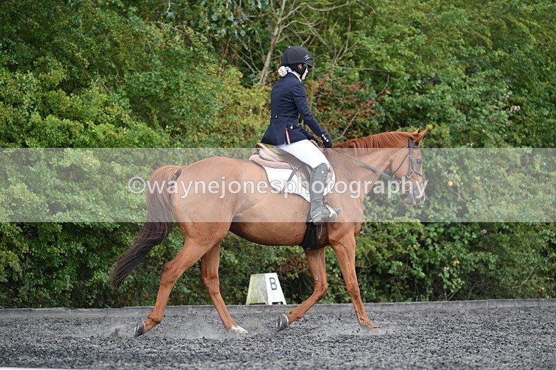 WJ7_7853 - Time 13:40 to 14:00