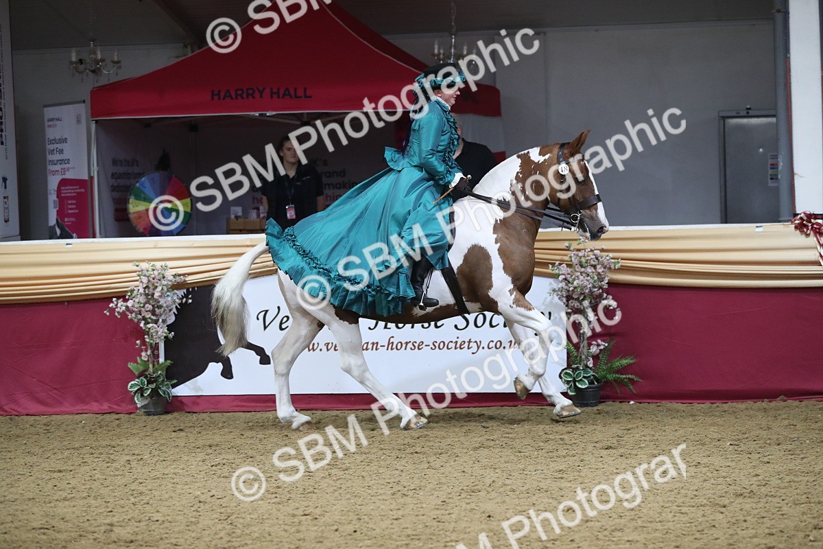 SBM_12008 - Class 106 Ridden Costume- Astride Adult (15-19)