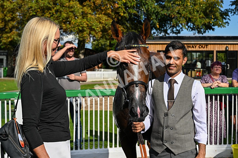 140926-Race 3-Majestic Jude-3041 - Race 3 3.21pm British Stallion Studs EBF Novice Stakes