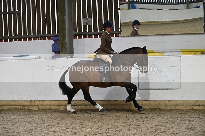 WJ7_3895 - Class 17 Ridden Cob