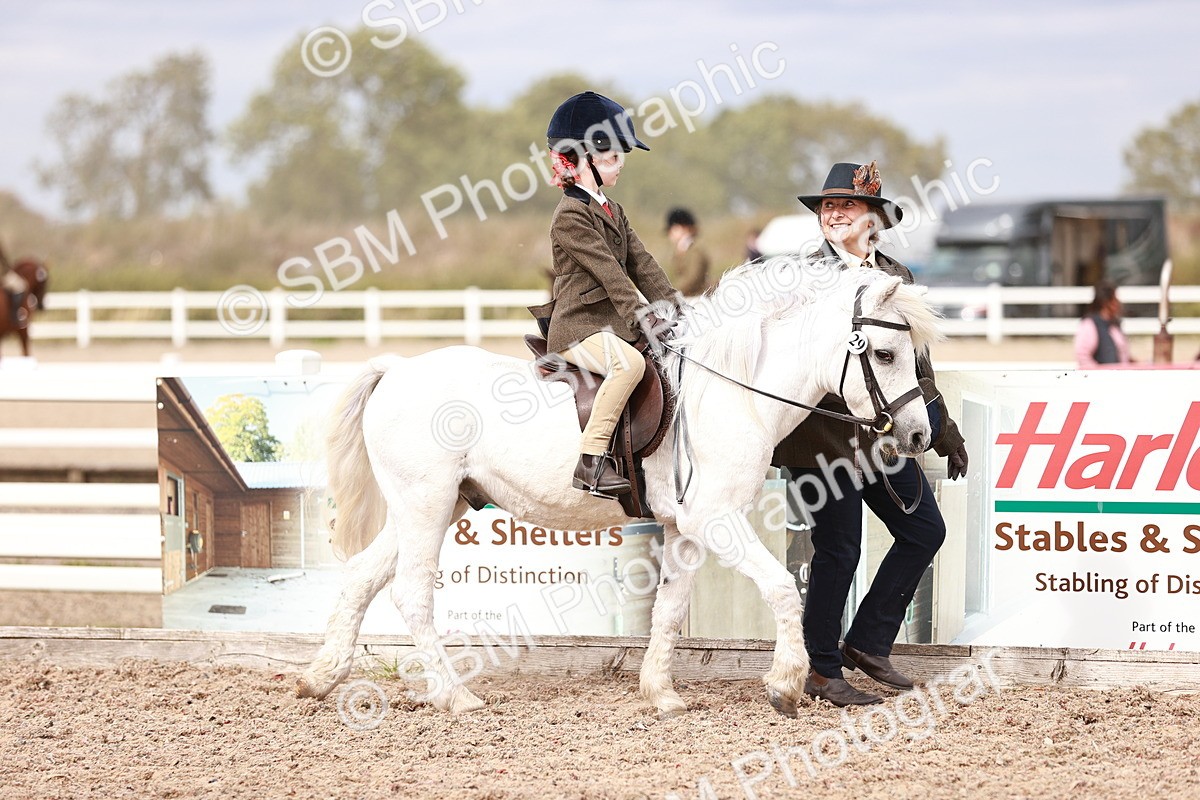 SBM_18292 - Class 417 - Handsome Gelding (IH or Ridden - JNR)