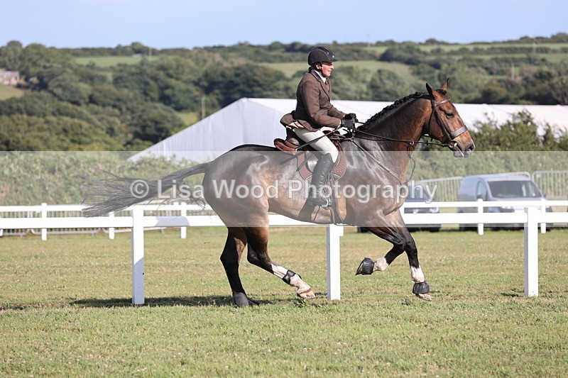 JPP_3101 - Class 21: Working Hunter 80cm