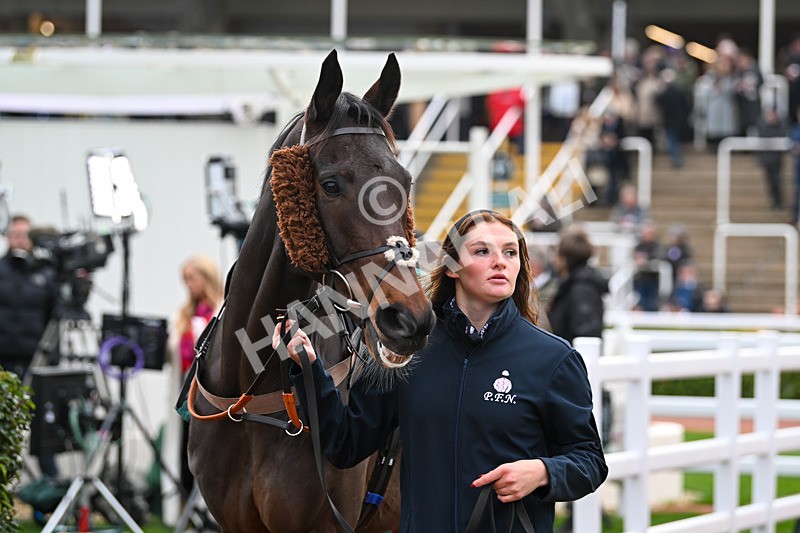 161124-Race 5-Paddock-Emailandy-0746 - Race 5