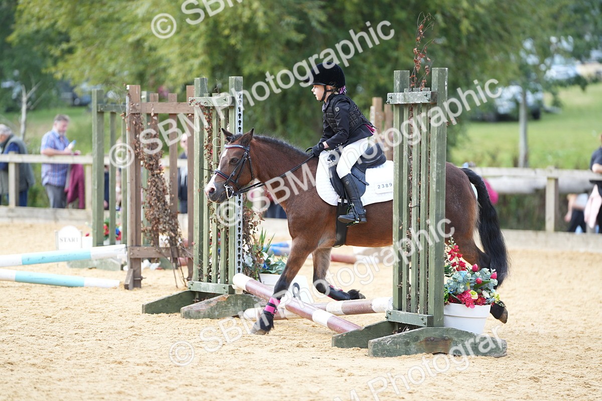 SBM_64445 - J2 - Mini Tour Junior Pony 30cm Championship