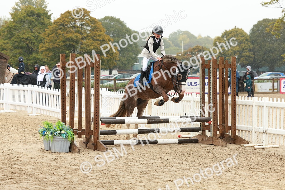 SBM_69353 - J13 - Junior Pony 60cm Championship