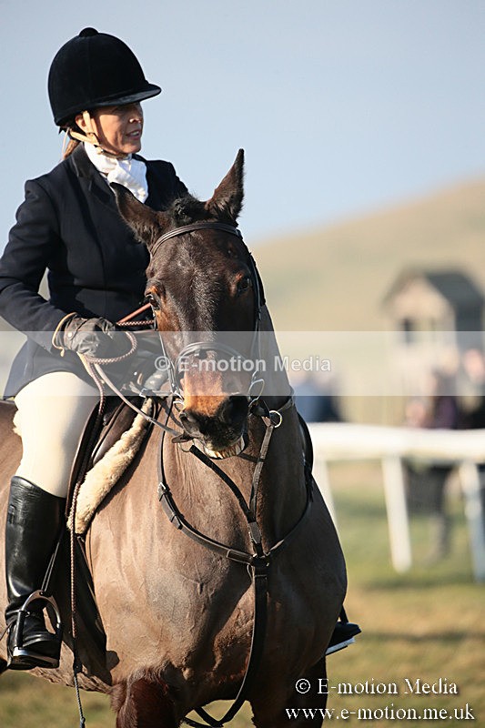 PtP 230219 555 - Vine & Craven Point-To-Point - Barbury 23/02/19
