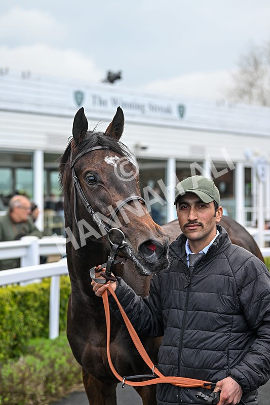 230425-Race 4-Troia-0471 - Race 4