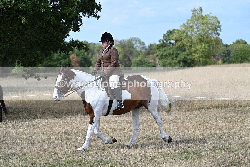 WJ7_7054 - Class 14 Ridden Coloured