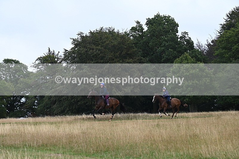 DSC_0129 - Time at Statue 09:51 to 10:54