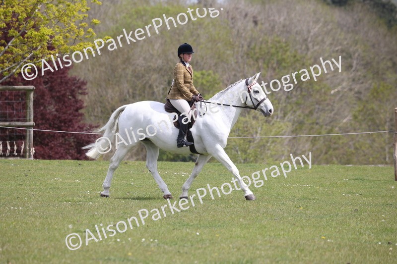 20260426-4332 - Class 34 - Best Riding Horse Over 14.2hh