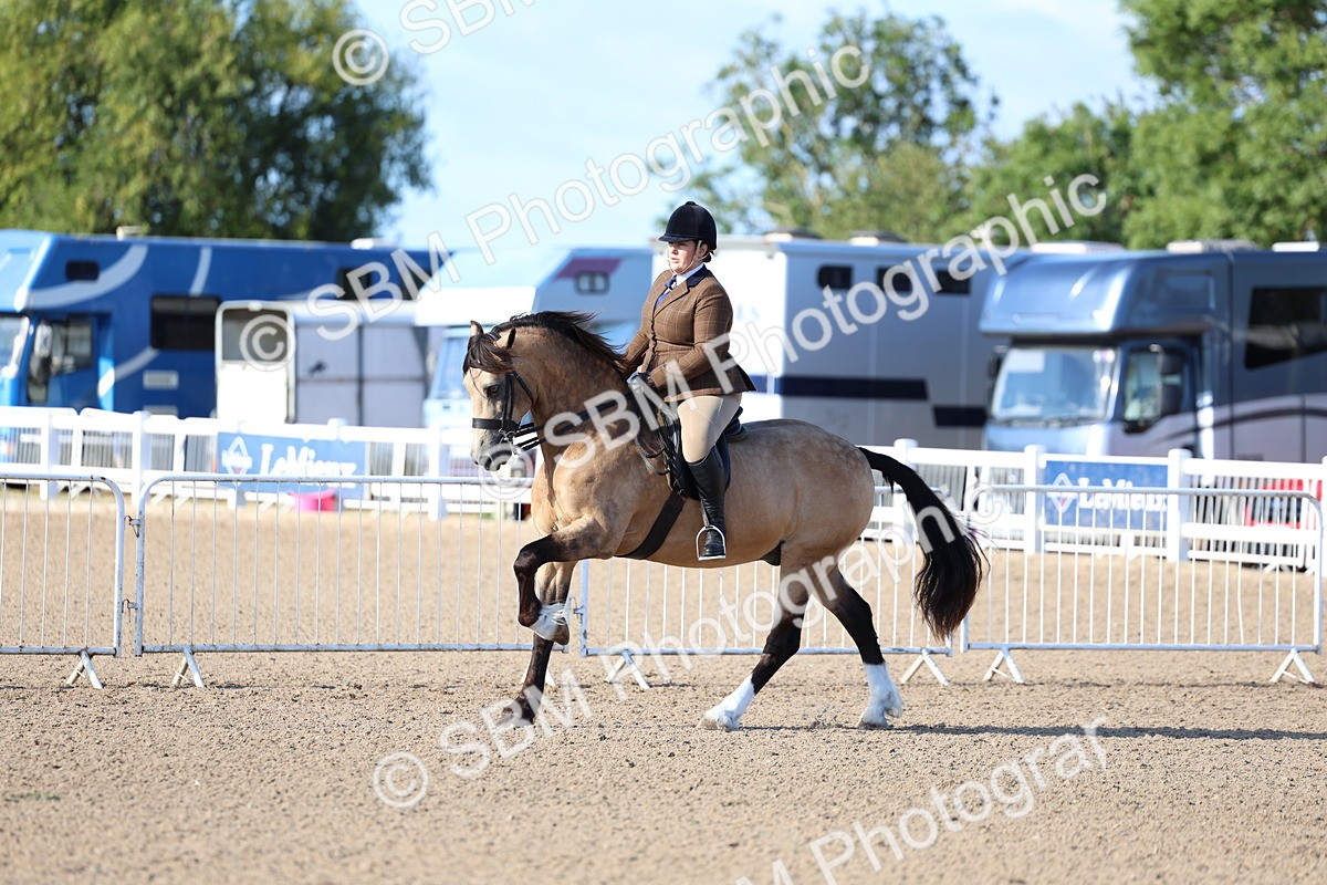 SBM_08869 - Class 302 - Ridden M&M - Large Breeds