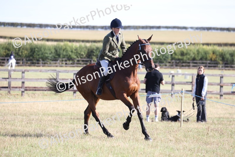 20260906-0354 - Class 14 - Ex Racehorse