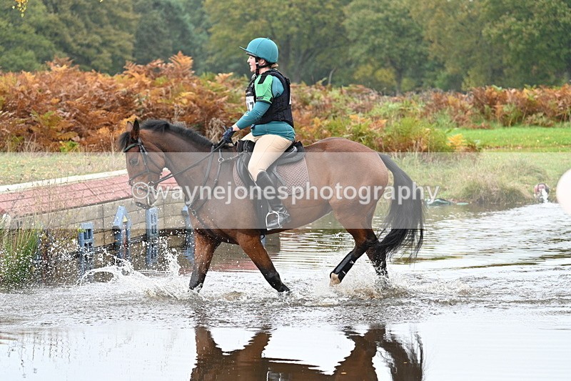 WJ7_0957 - 80cm Cam 2 Water Time 11:08 to 11:28