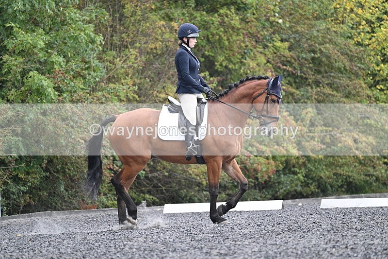 WJ7_3386 - Time 09:54 to 10:54