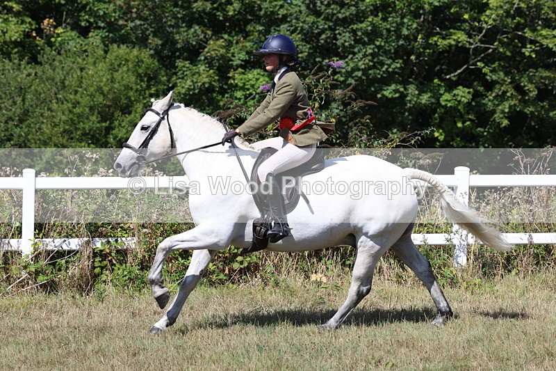 3E7A6409 - Working Hunter Championship